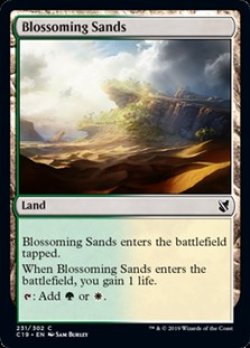 画像1: 【英語】花咲く砂地/Blossoming Sands