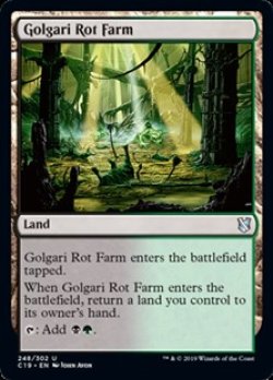 画像1: 【英語】ゴルガリの腐敗農場/Golgari Rot Farm