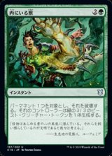 【日本語】内にいる獣/Beast Within