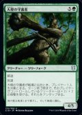 【日本語】大樫の守護者/Great Oak Guardian