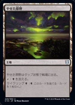画像1: 【日本語】やせた原野/Barren Moor