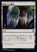 【日本語】進化する未開地/Evolving Wilds