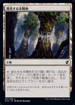 画像1: 【日本語】進化する未開地/Evolving Wilds