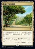 【日本語】風変わりな果樹園/Exotic Orchard
