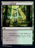 【日本語】ゴルガリの腐敗農場/Golgari Rot Farm