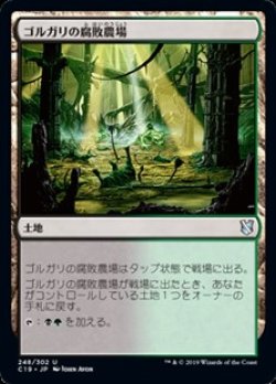 画像1: 【日本語】ゴルガリの腐敗農場/Golgari Rot Farm