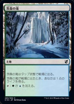 画像1: 【日本語】茨森の滝/Thornwood Falls