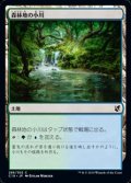 【日本語】森林地の小川/Woodland Stream