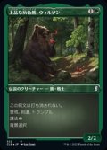 ☆特殊枠【日本語Foil】上品な灰色熊、ウィルソン/Wilson, Refined Grizzly
