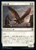 【日本語】偵察の鷹/Scouting Hawk