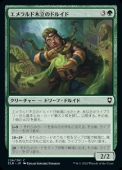 画像1: 【日本語Foil】エメラルド木立のドルイド/Druid of the Emerald Grove