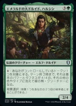 画像1: 【日本語】エメラルドの大ドルイド、ハルシン/Halsin, Emerald Archdruid