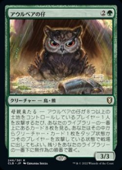 画像1: 【日本語Foil】アウルベアの仔/Owlbear Cub