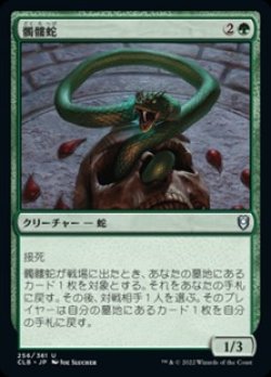 画像1: 【日本語】髑髏蛇/Skullwinder