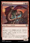【日本語】溜め込むドラゴン/Hoarding Dragon