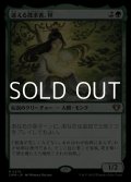 【日本語】迷える探求者、梓/Azusa, Lost but Seeking