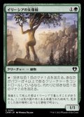 【日本語】イリーシアの女像樹/Ilysian Caryatid