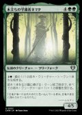 【日本語】木立ちの守護者ネマタ/Nemata, Grove Guardian