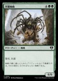 【日本語】空網蜘蛛/Skysnare Spider