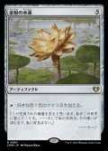 【日本語】金粉の水蓮/Gilded Lotus