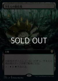 ☆特殊枠【日本語】下生えの競技場/Undergrowth Stadium