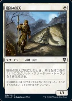 画像1: 【日本語】宿命の旅人/Doomed Traveler