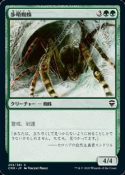 画像1: 【日本語】歩哨蜘蛛/Sentinel Spider