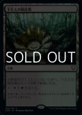 【日本語】下生えの競技場/Undergrowth Stadium