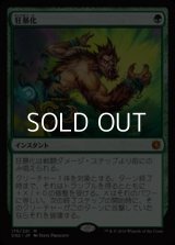 【日本語】狂暴化/Berserk