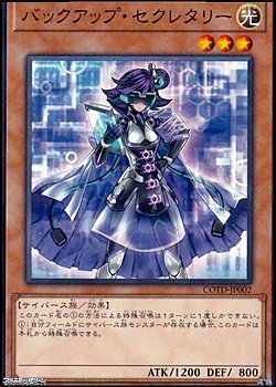 画像1: 【ノーマル】バックアップ・セクレタリー