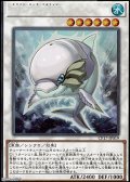 【コレクターズレア】白闘気海豚