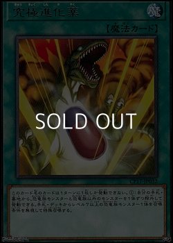 画像1: 【レア】究極進化薬