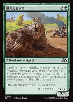 画像1: 【日本語】道穴のモグラ/Pothole Mole