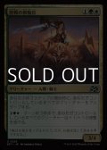 【日本語Foil】歴戦の獣騎兵/Veteran Beastrider