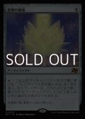 【日本語Foil】光輝の睡蓮/Radiant Lotus