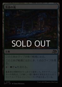 【日本語Foil】茨森の滝/Thornwood Falls