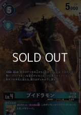 【P】ブイドラモン