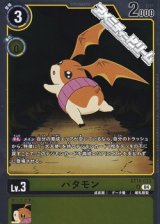 【R】パタモン