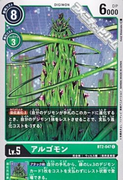 画像1: 【C】アルゴモン