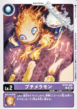 画像1: 【C】プチメラモン