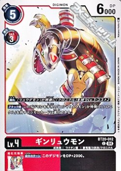 画像1: 【C】ギンリュウモン