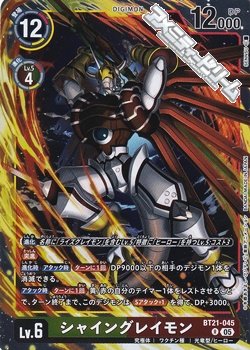 画像1: 【R】シャイングレイモン