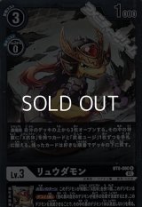 【R】リュウダモン