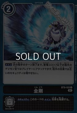 画像1: 【C】金剛