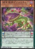 【ノーマル】捕食植物ブフォリキュア