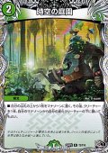 【黒トレジャーR】時空の庭園