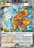 【黒トレジャーR】獅子王の紋章