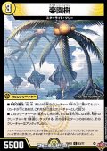 【C】楽園樹