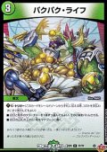 【C】パクパク・ライフ