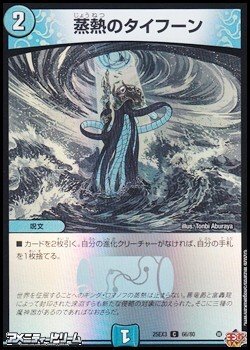 画像1: 【C】蒸熱のタイフーン